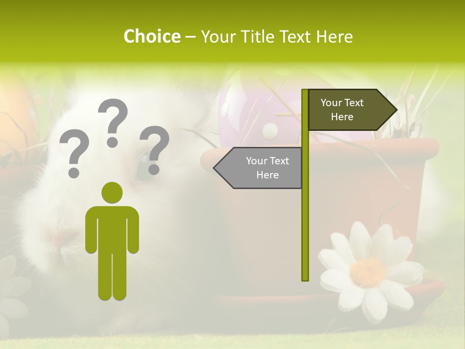 Fur Furry Daisy PowerPoint Template