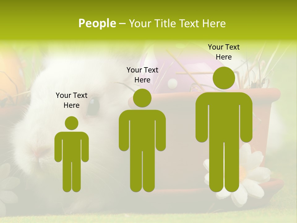 Fur Furry Daisy PowerPoint Template