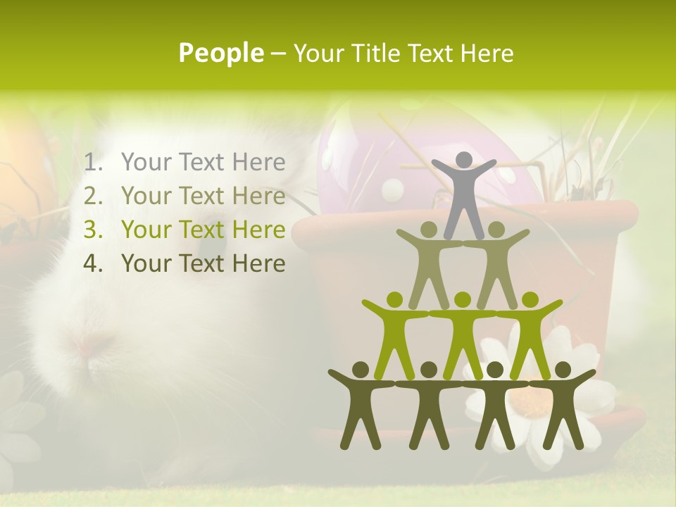 Fur Furry Daisy PowerPoint Template