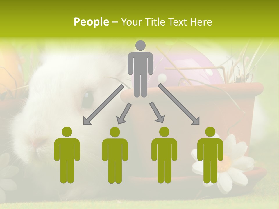 Fur Furry Daisy PowerPoint Template