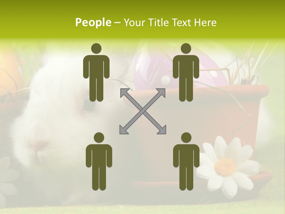 Fur Furry Daisy PowerPoint Template