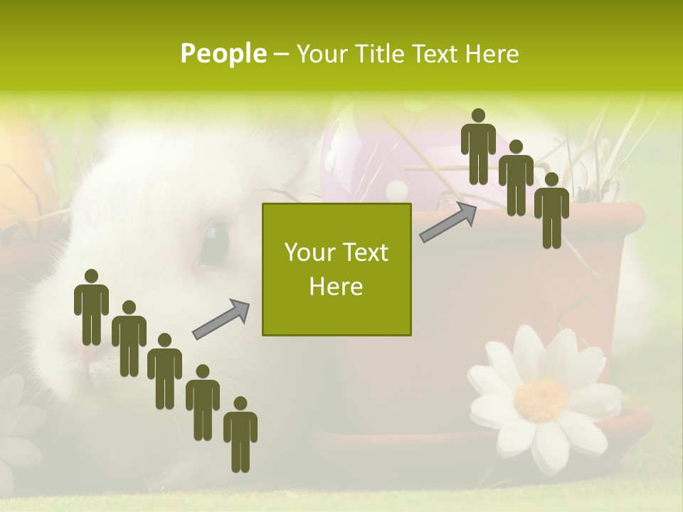 Fur Furry Daisy PowerPoint Template