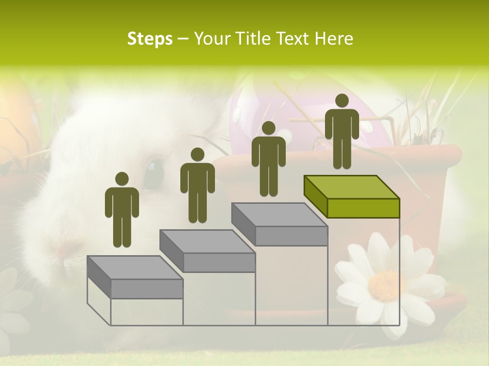 Fur Furry Daisy PowerPoint Template