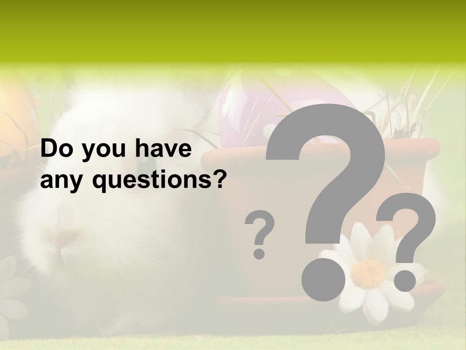 Fur Furry Daisy PowerPoint Template