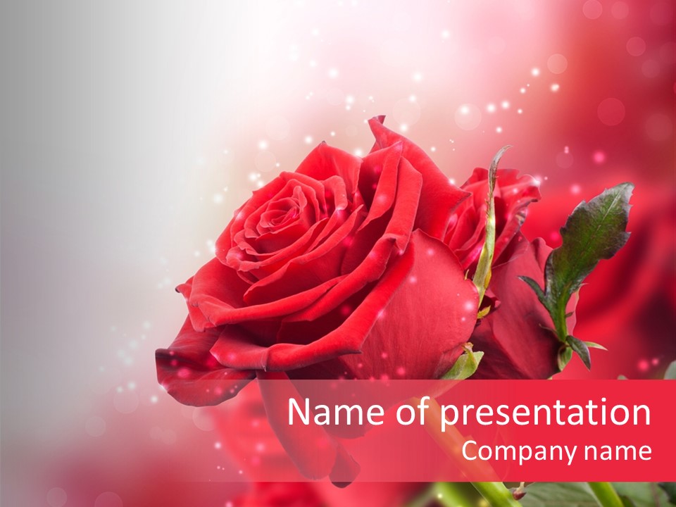 Text Holidays Wedding PowerPoint Template