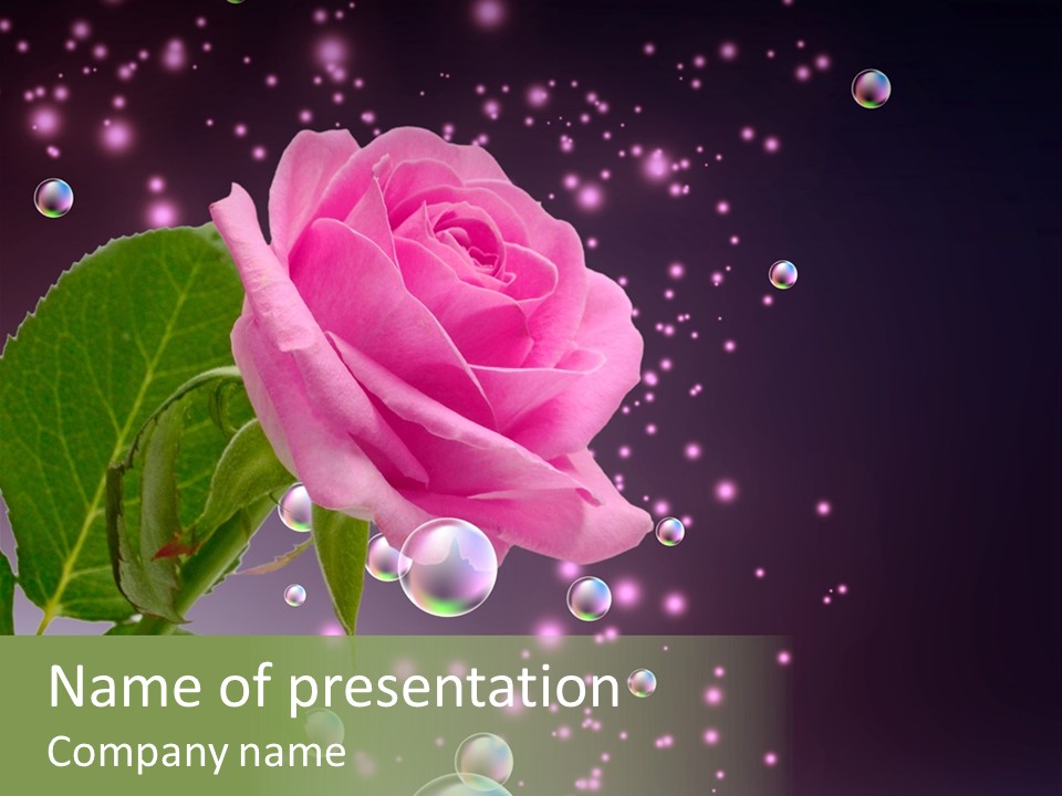 Clear Floral Abstract PowerPoint Template