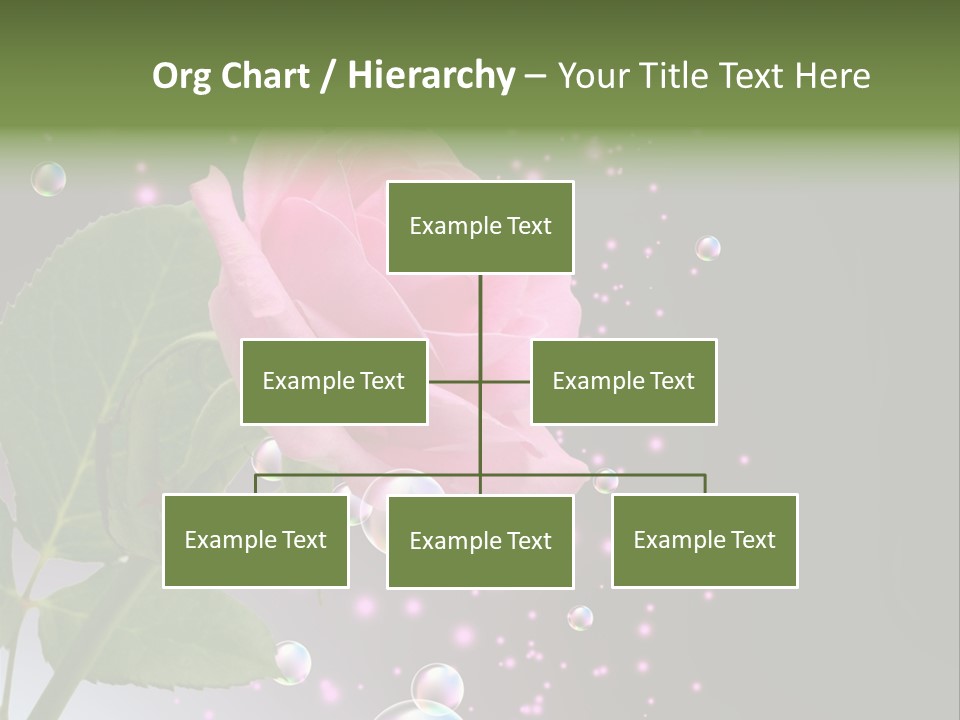 Clear Floral Abstract PowerPoint Template