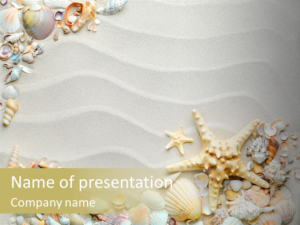 Border Seashells Natural PowerPoint Template