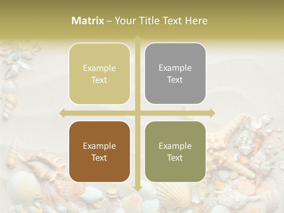 Border Seashells Natural PowerPoint Template