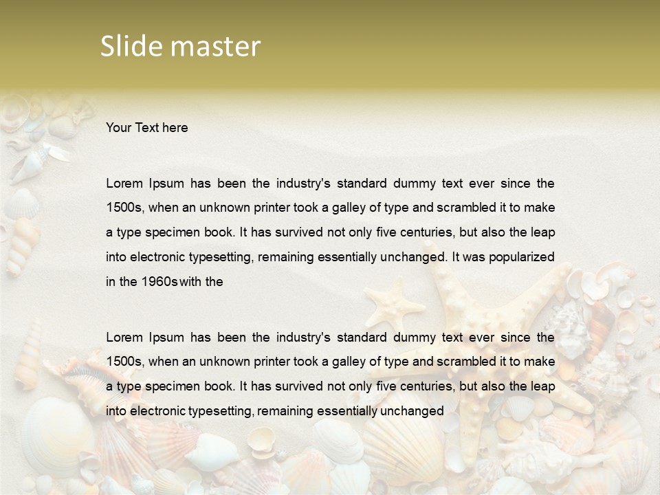 Border Seashells Natural PowerPoint Template