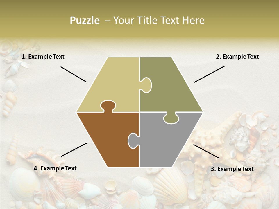 Border Seashells Natural PowerPoint Template