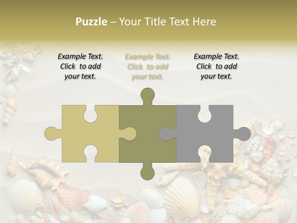 Border Seashells Natural PowerPoint Template