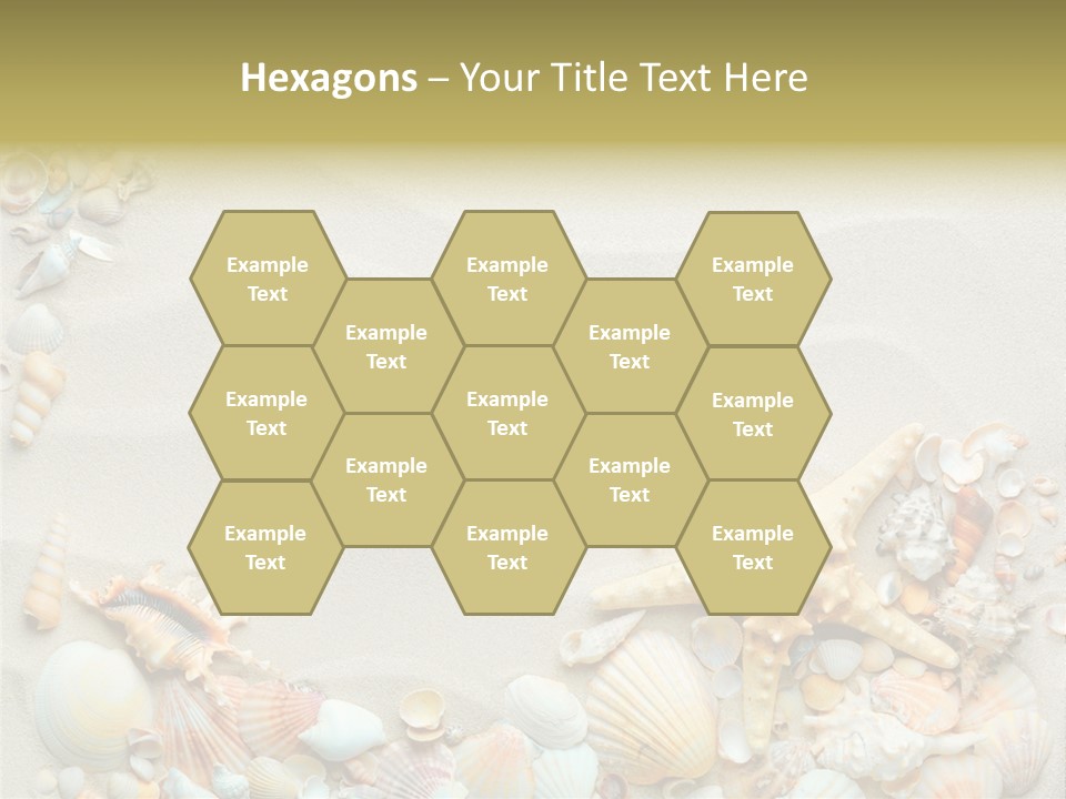 Border Seashells Natural PowerPoint Template