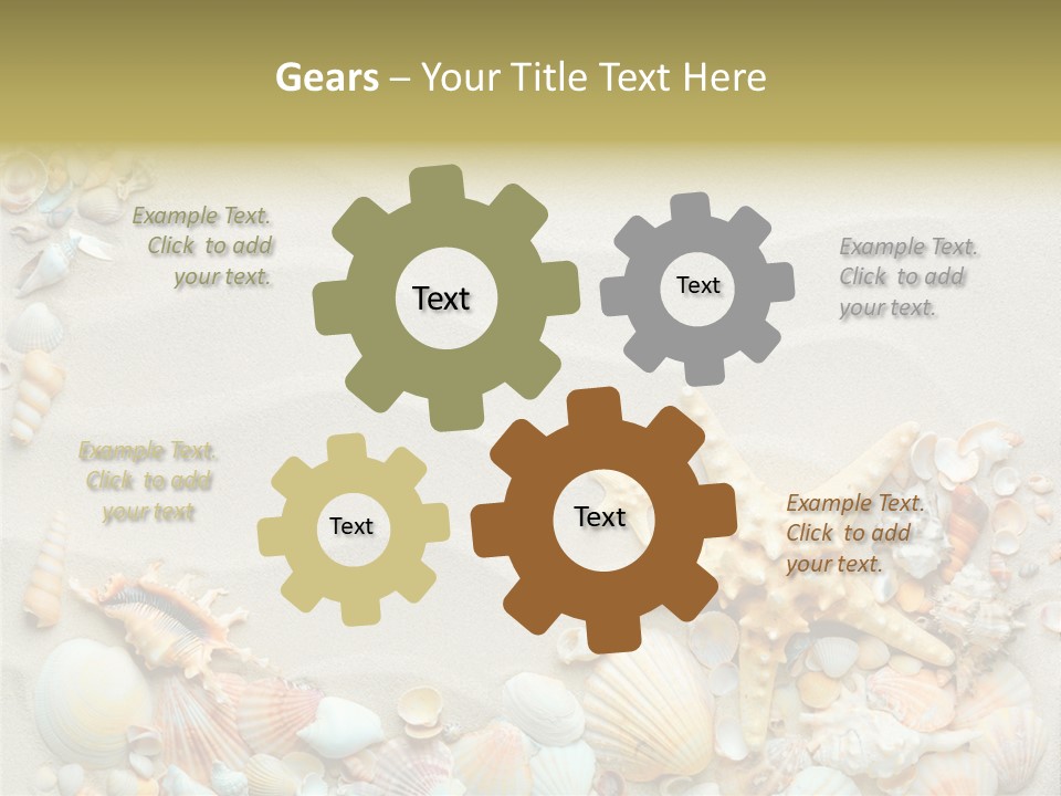 Border Seashells Natural PowerPoint Template