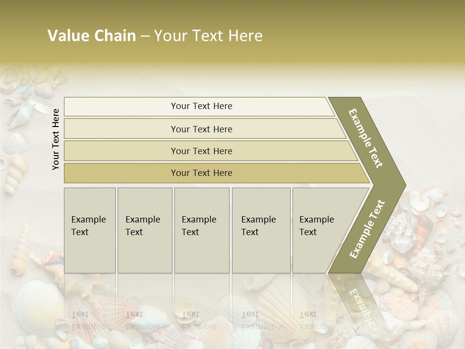 Border Seashells Natural PowerPoint Template