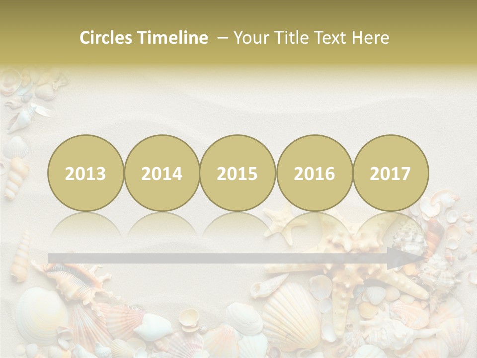 Border Seashells Natural PowerPoint Template