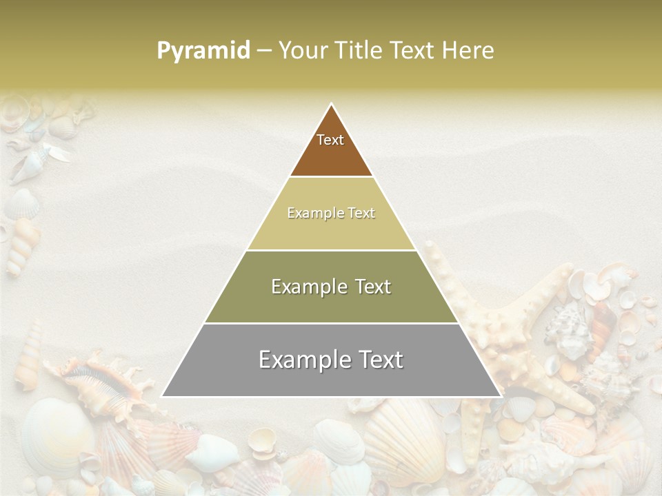 Border Seashells Natural PowerPoint Template