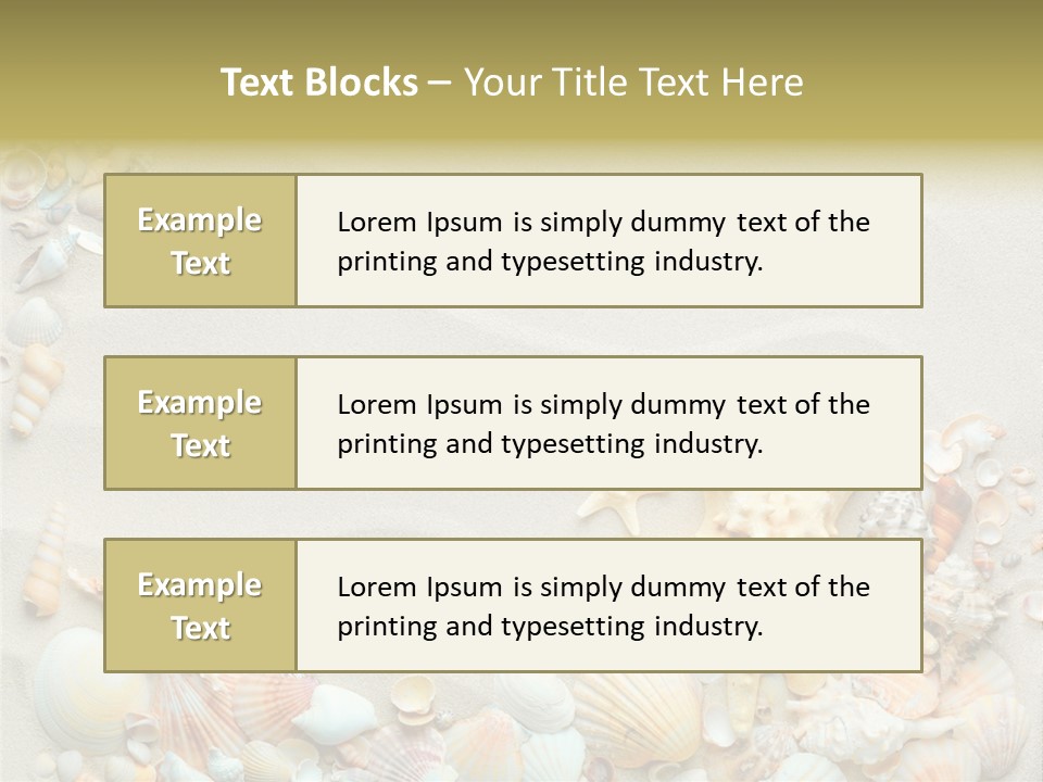 Border Seashells Natural PowerPoint Template
