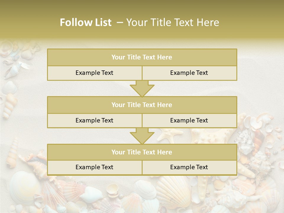 Border Seashells Natural PowerPoint Template