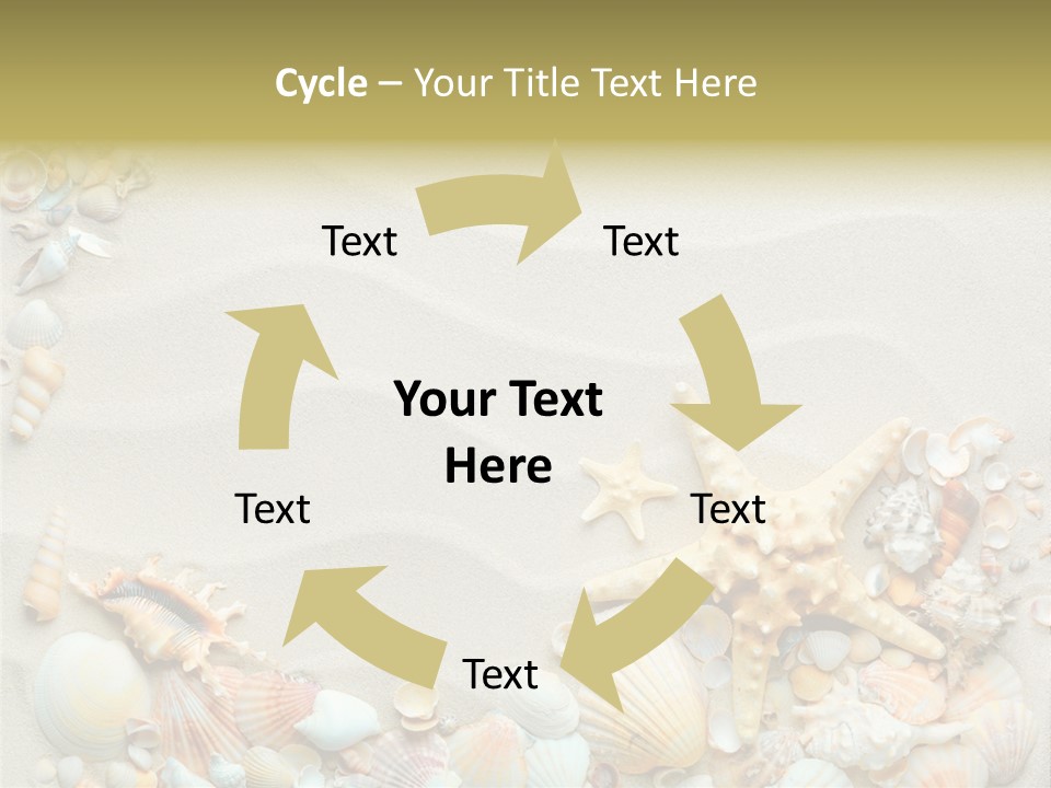 Border Seashells Natural PowerPoint Template