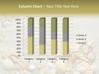 Border Seashells Natural PowerPoint Template