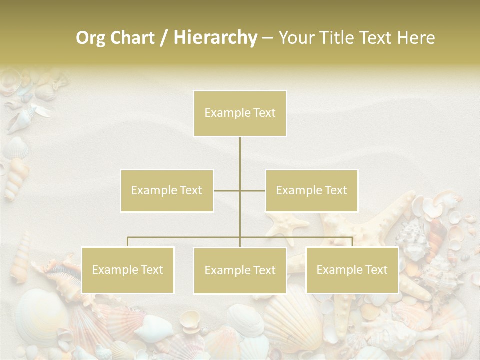 Border Seashells Natural PowerPoint Template
