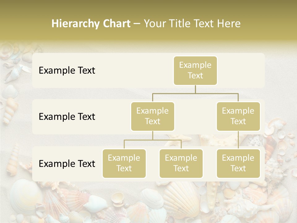 Border Seashells Natural PowerPoint Template
