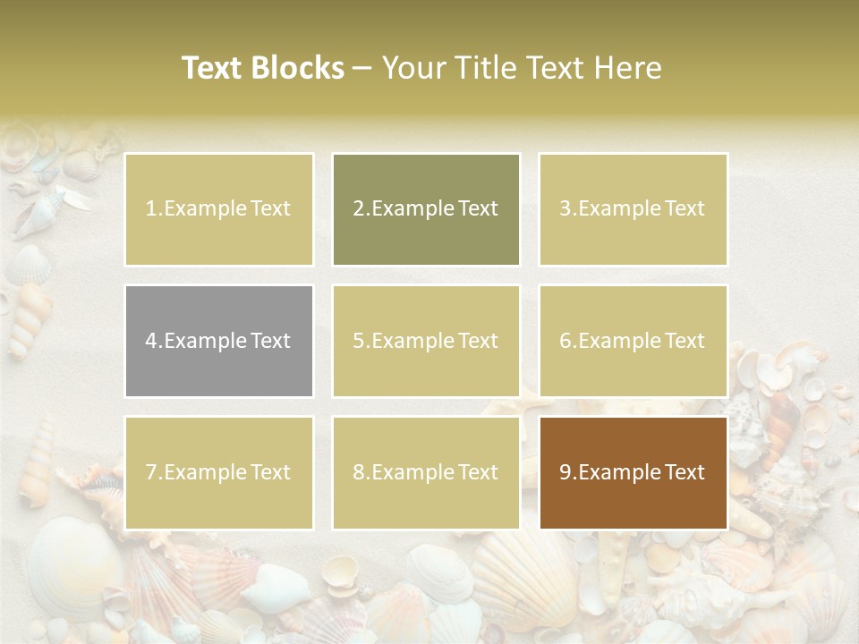 Border Seashells Natural PowerPoint Template