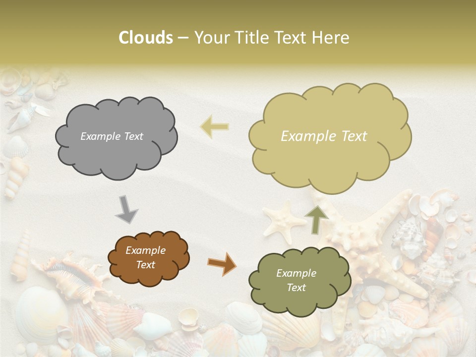 Border Seashells Natural PowerPoint Template