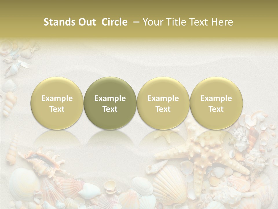 Border Seashells Natural PowerPoint Template