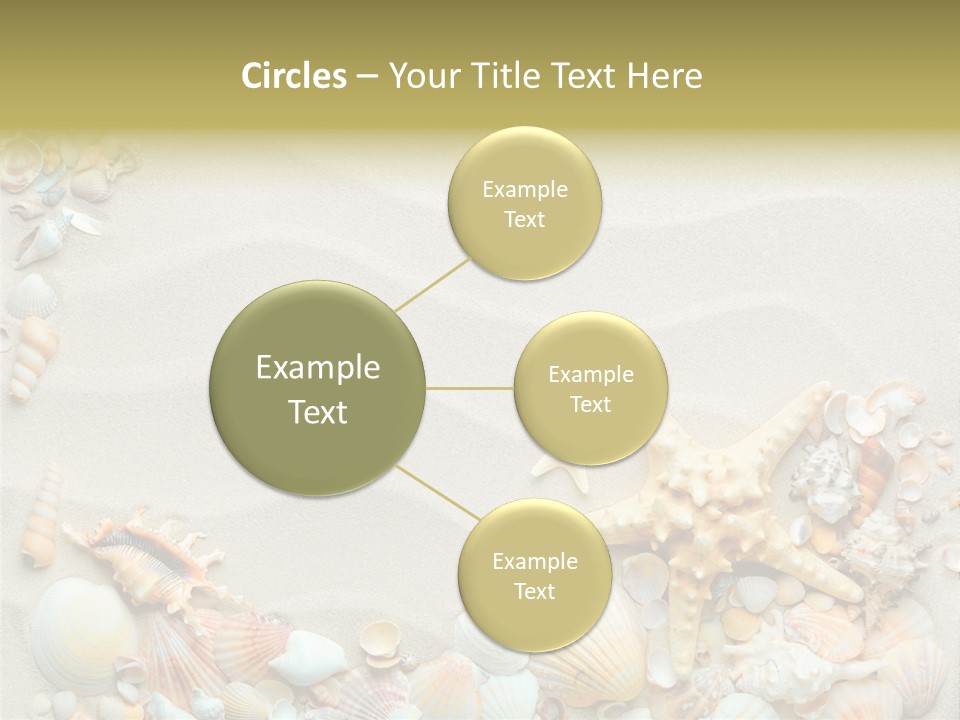 Border Seashells Natural PowerPoint Template