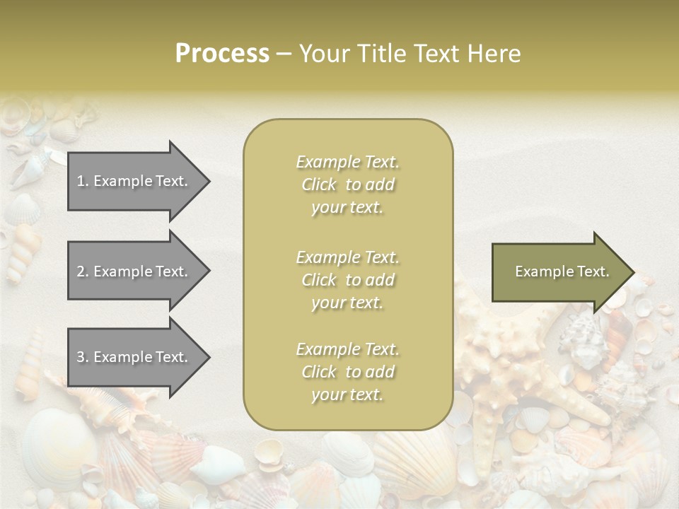 Border Seashells Natural PowerPoint Template