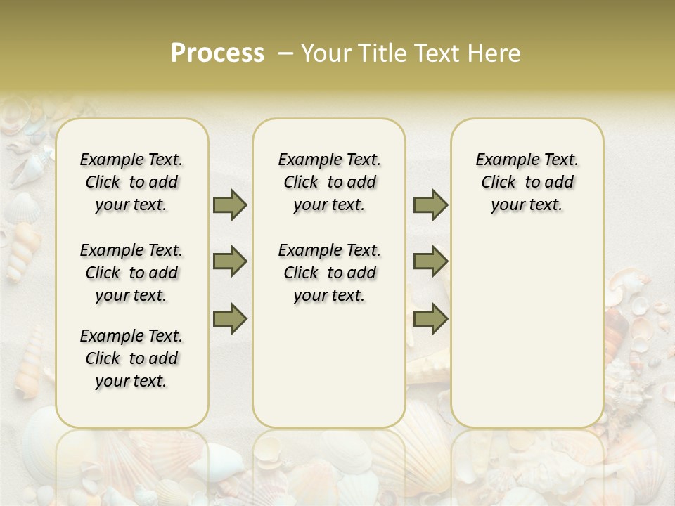 Border Seashells Natural PowerPoint Template