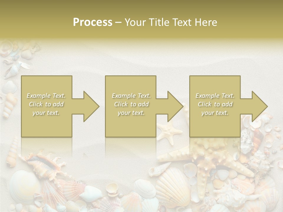 Border Seashells Natural PowerPoint Template
