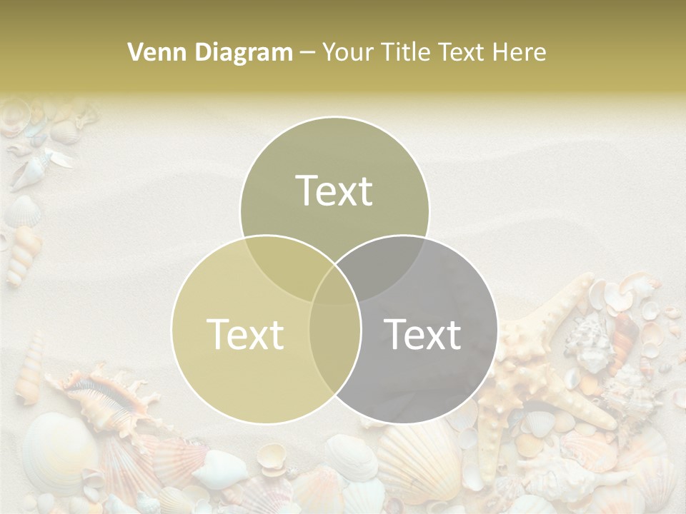 Border Seashells Natural PowerPoint Template