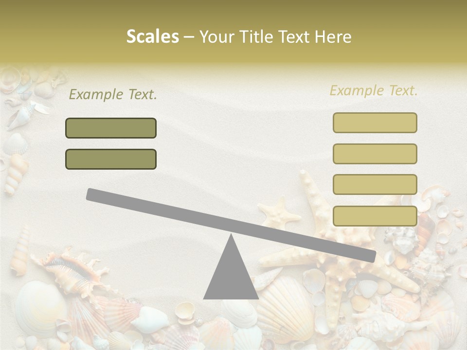 Border Seashells Natural PowerPoint Template