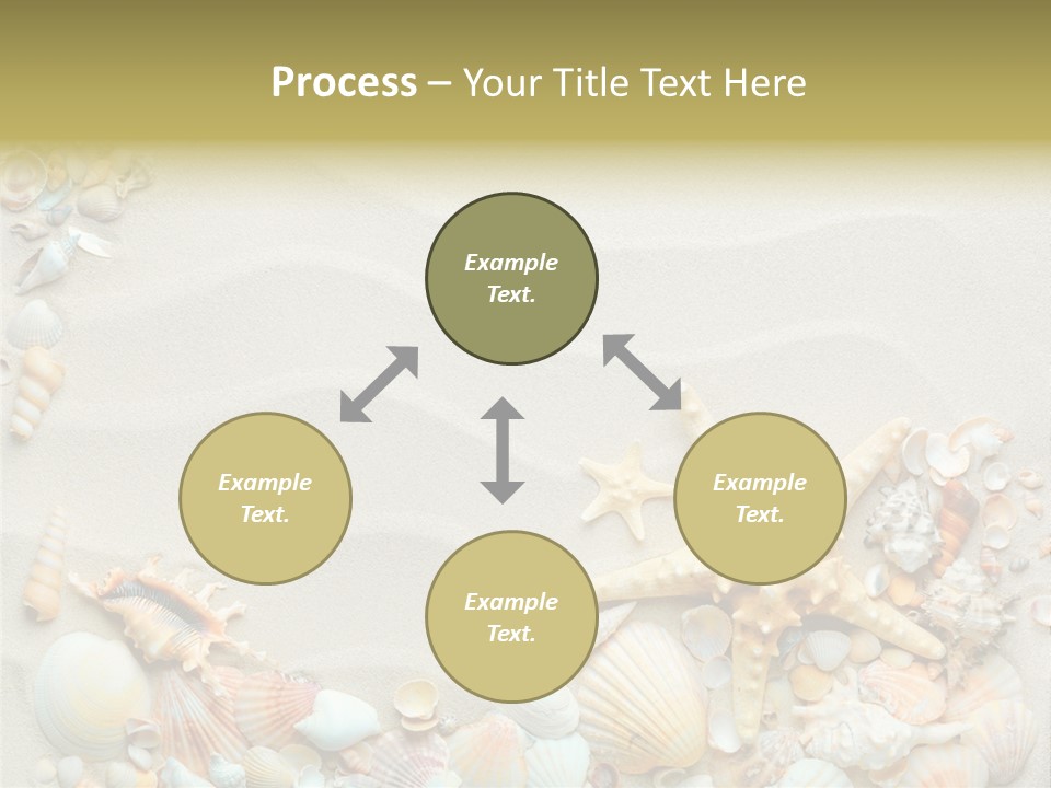 Border Seashells Natural PowerPoint Template