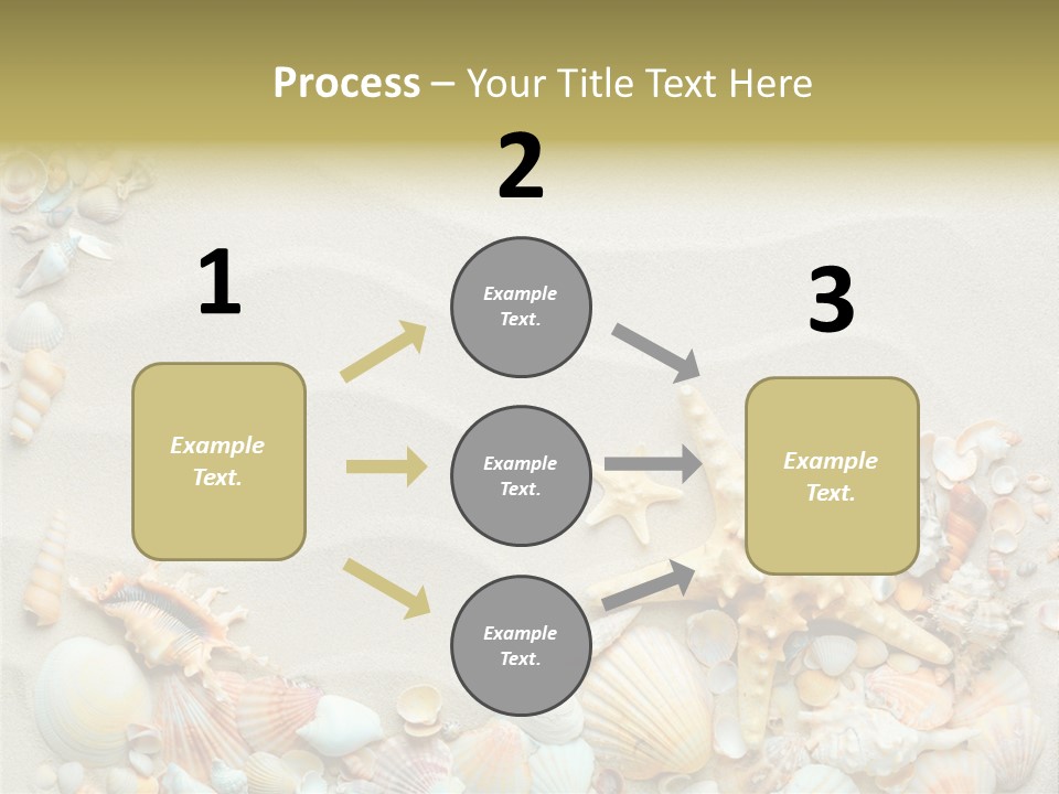 Border Seashells Natural PowerPoint Template