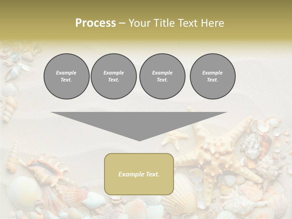 Border Seashells Natural PowerPoint Template