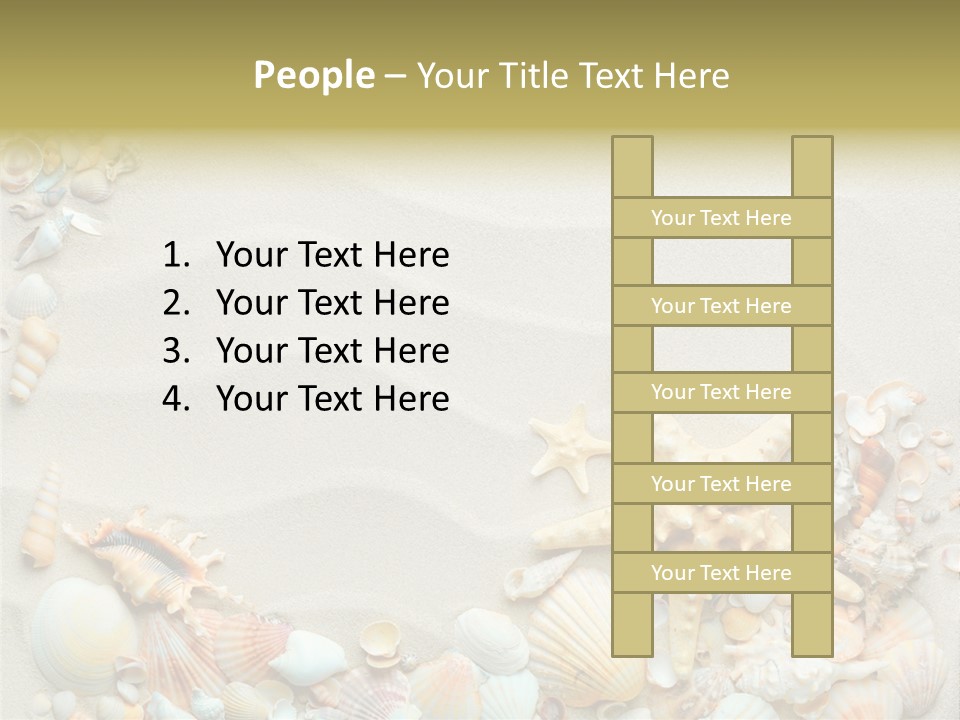 Border Seashells Natural PowerPoint Template