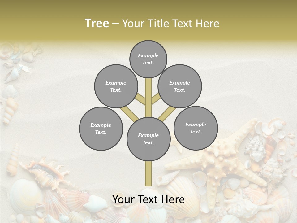 Border Seashells Natural PowerPoint Template