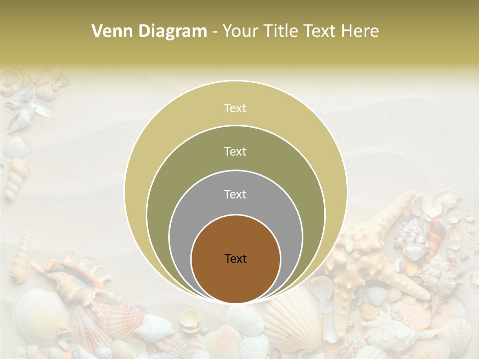 Border Seashells Natural PowerPoint Template