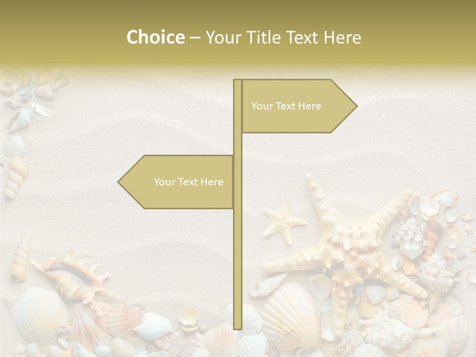 Border Seashells Natural PowerPoint Template
