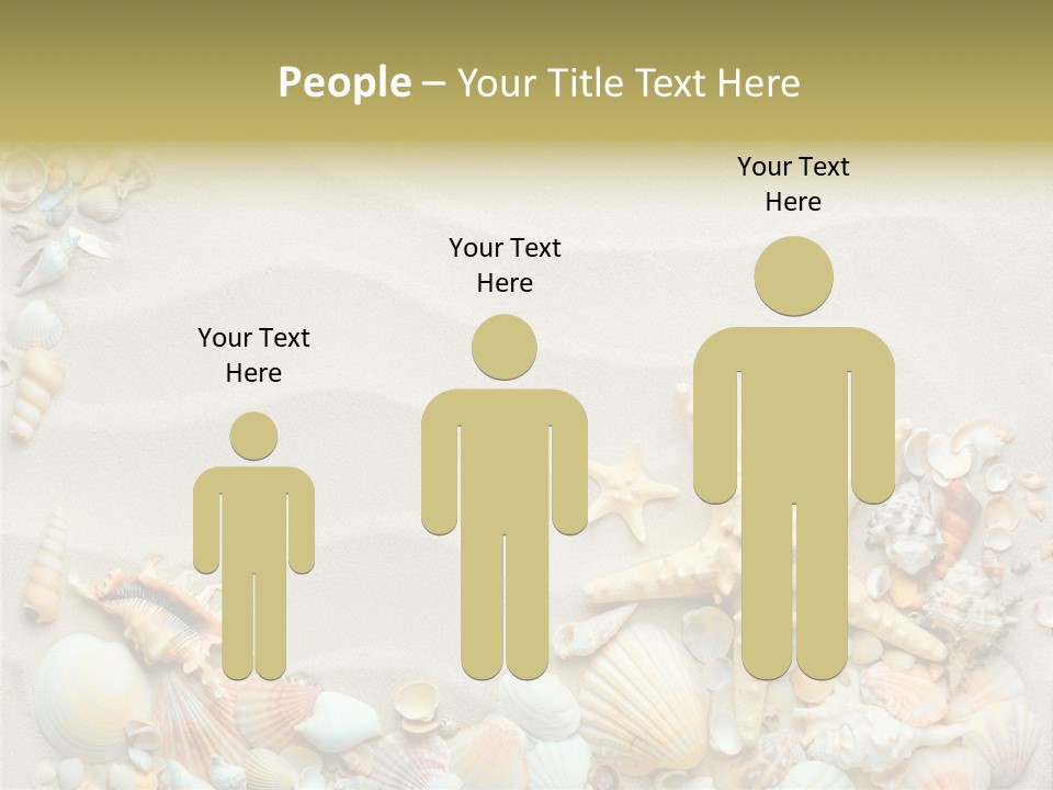 Border Seashells Natural PowerPoint Template