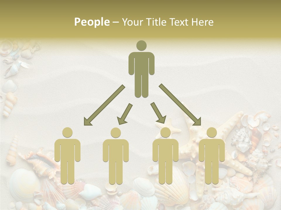 Border Seashells Natural PowerPoint Template