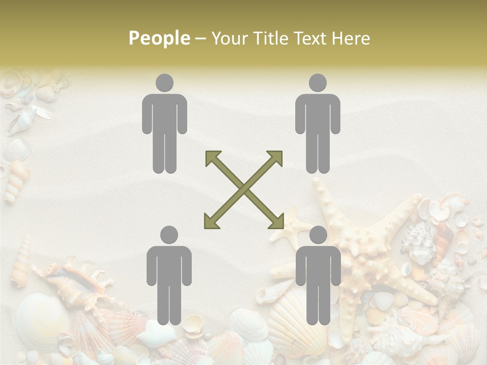 Border Seashells Natural PowerPoint Template