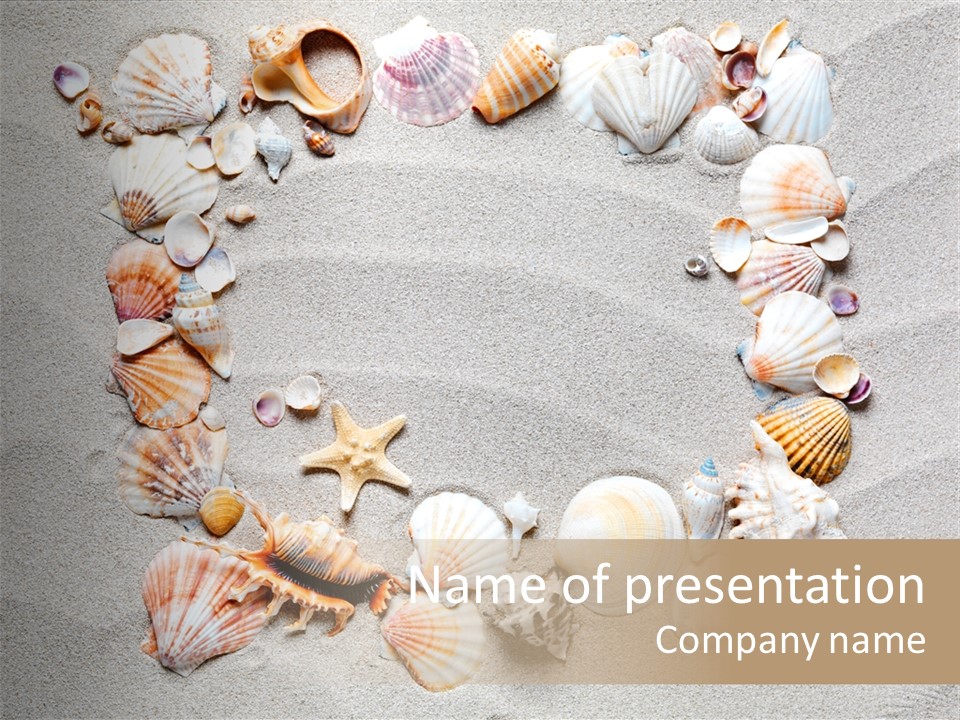 Sandy Abstract Shell PowerPoint Template