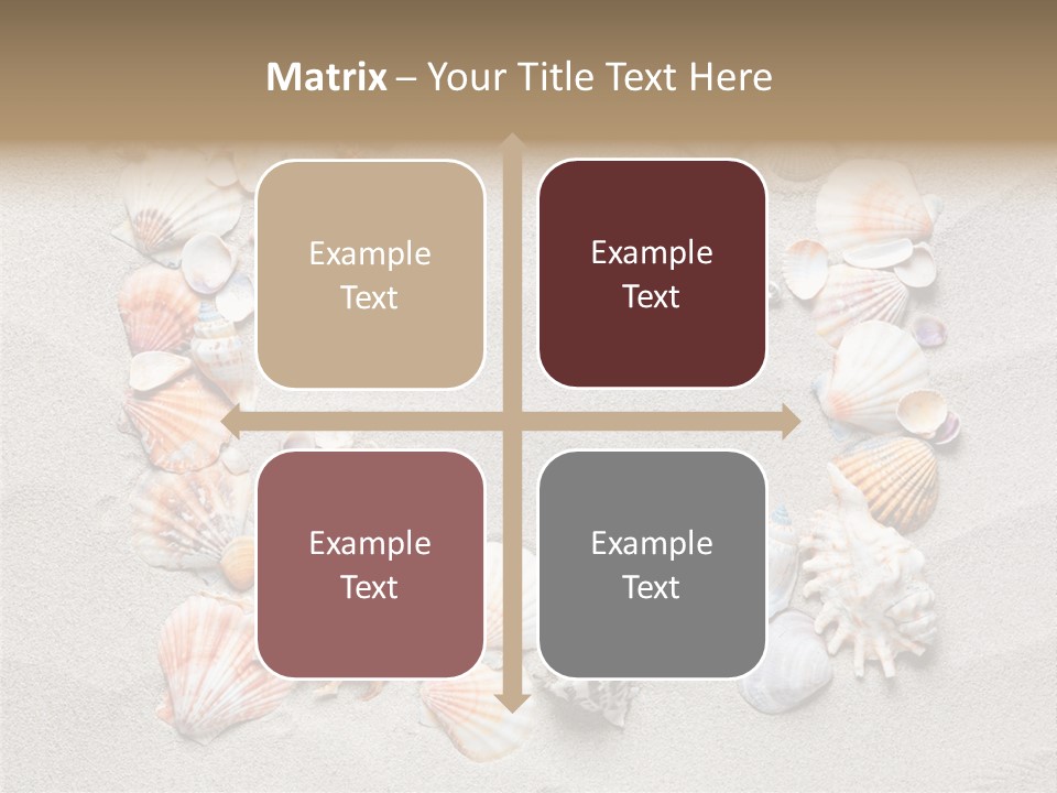 Sandy Abstract Shell PowerPoint Template