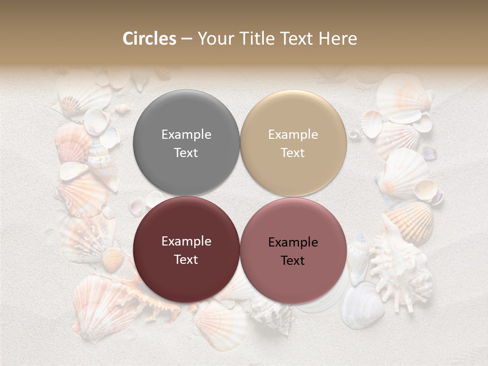 Sandy Abstract Shell PowerPoint Template