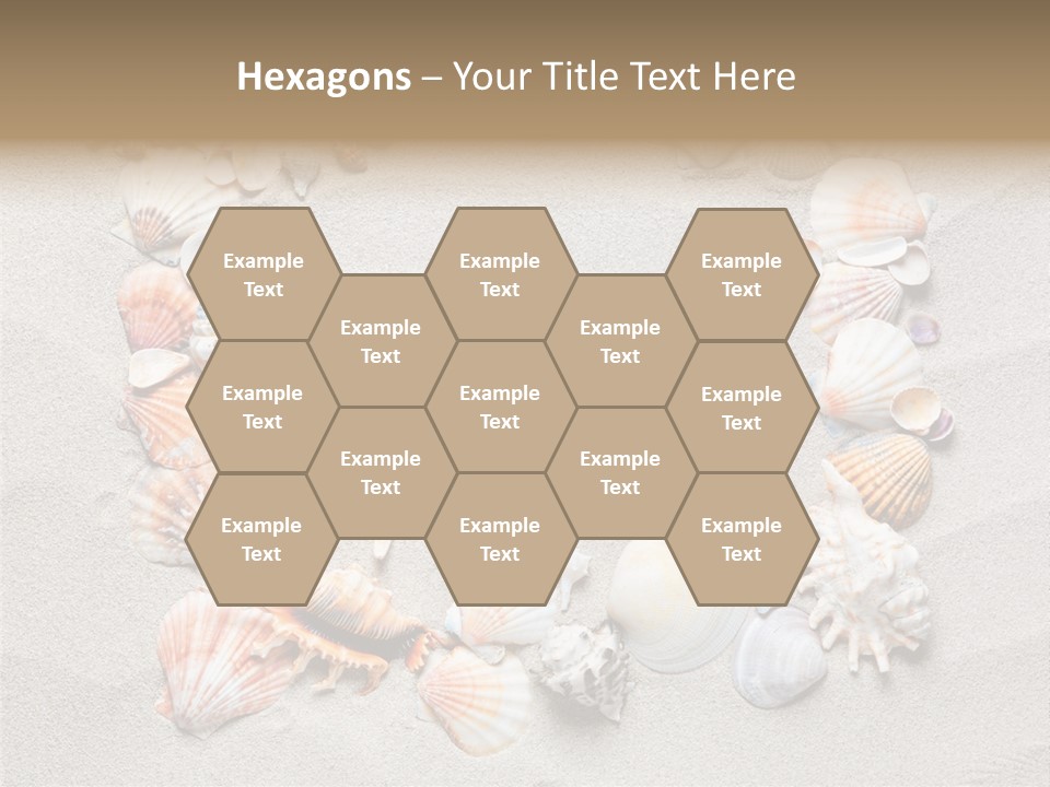 Sandy Abstract Shell PowerPoint Template